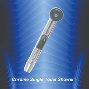 Kainat Chrome Single Shower