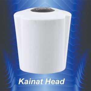 Kainat Head